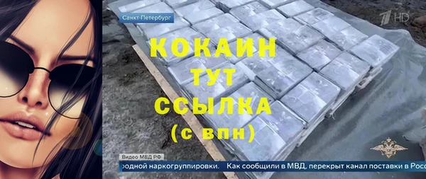 крисы Алзамай