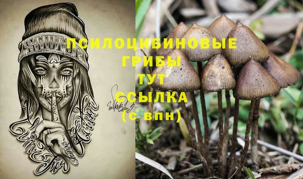 прущие крисы Армянск