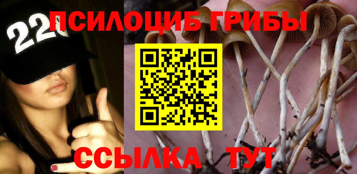 Галлюциногенные грибы GOLDEN TEACHER Сургут
